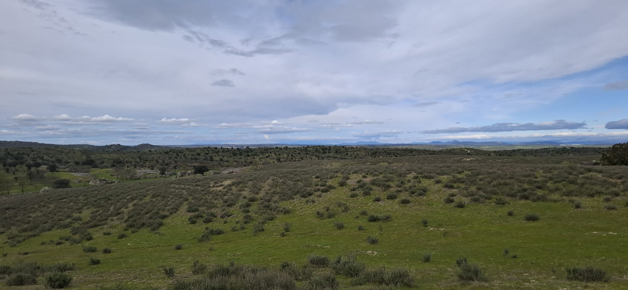 Vista de la finca